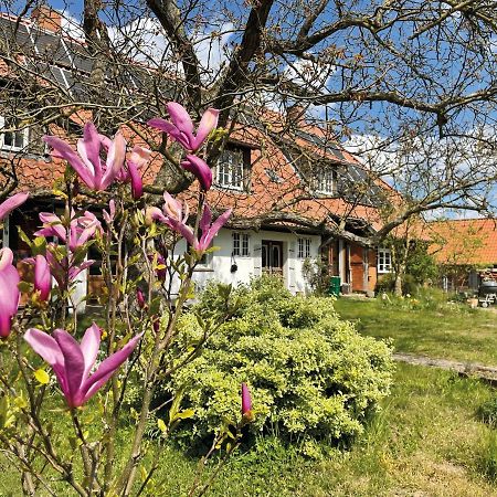 Ferienhof Rauchhaus Karft Экстерьер фото