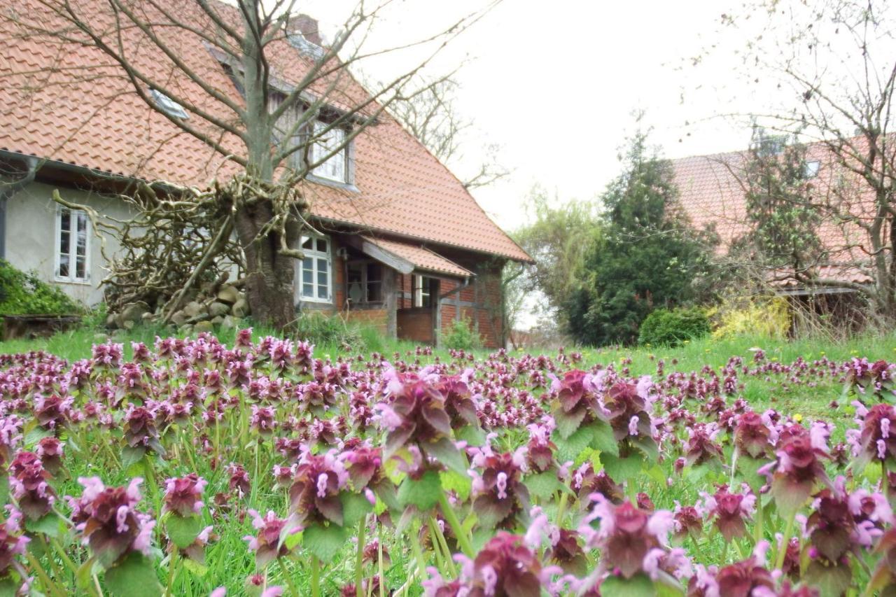 Ferienhof Rauchhaus Karft Экстерьер фото